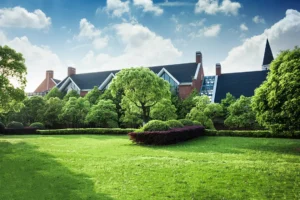 Yard drainage solution that left the yard in impeccable condition